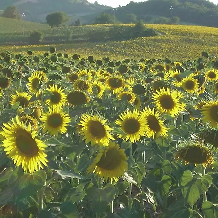 Exquisite In Marche With Swimming Pool 우르바니아